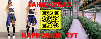 дмт Будённовск