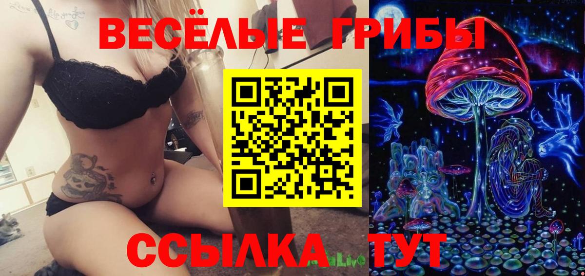 Псилоцибиновые грибы Psilocybine cubensis Красноярск